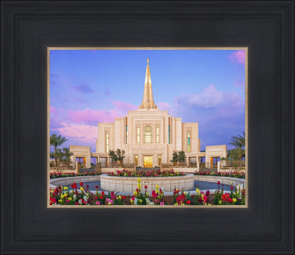 Gilbert Glorious Morning