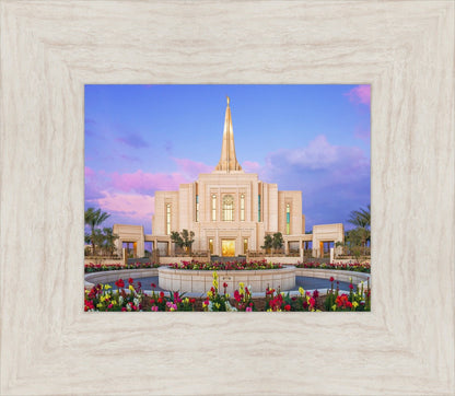 Gilbert Glorious Morning