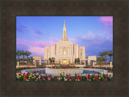 Gilbert Glorious Morning