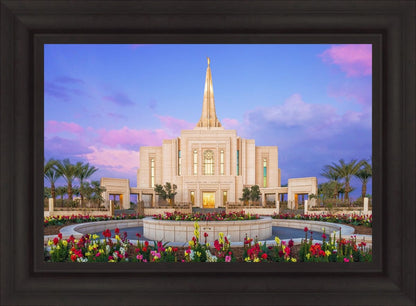 Gilbert Glorious Morning