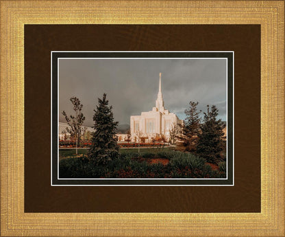 Ogden Pine a Firm Foundation