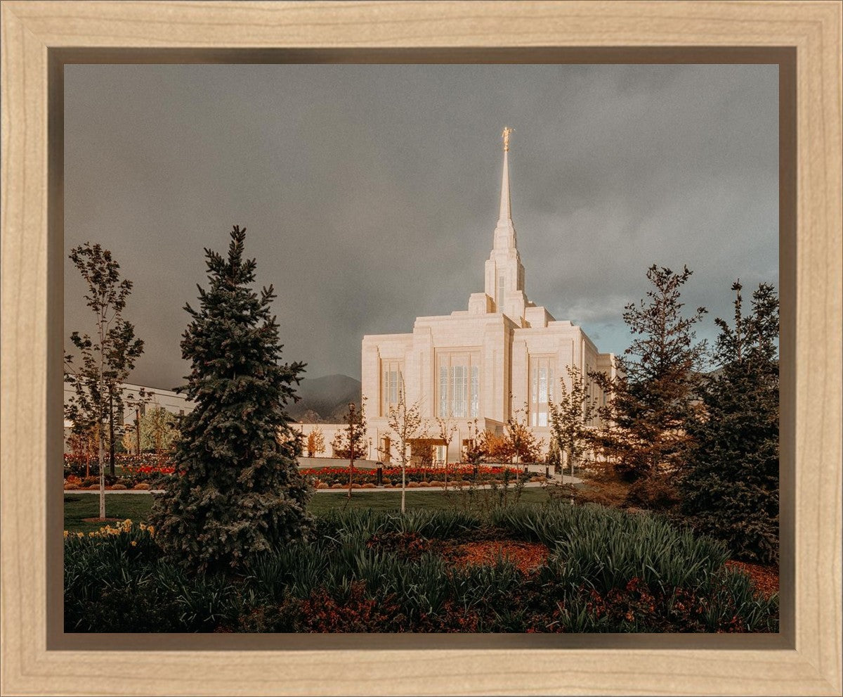 Ogden Pine a Firm Foundation