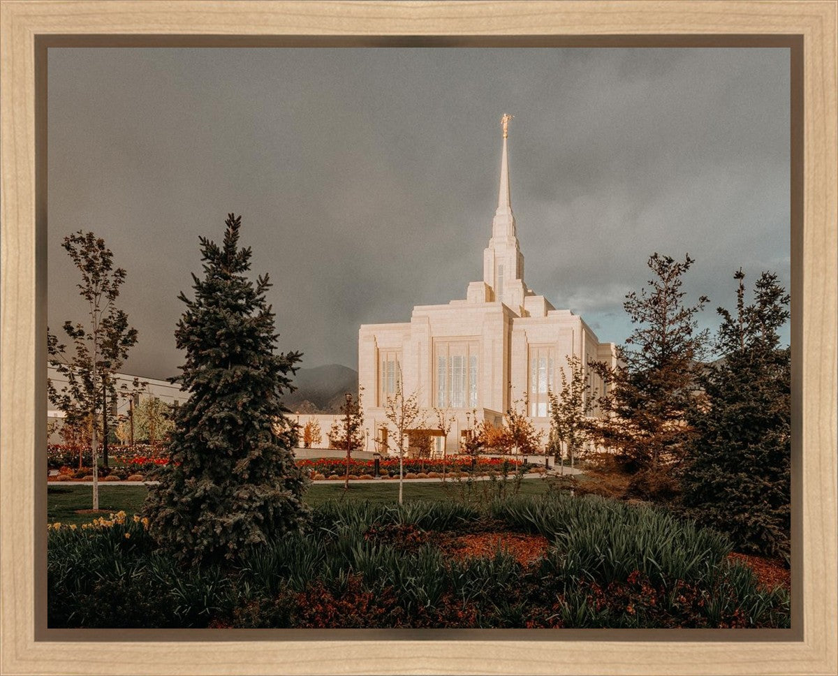 Ogden Pine a Firm Foundation