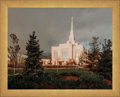 Ogden Pine a Firm Foundation