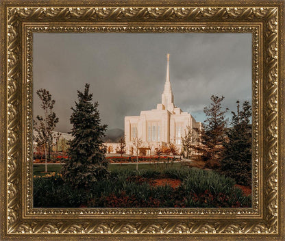 Ogden Pine a Firm Foundation