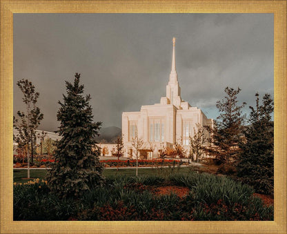 Ogden Pine a Firm Foundation