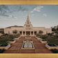Phoenix a Firm Foundation