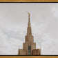 Phoenix Spire a Firm Foundation