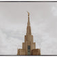 Phoenix Spire a Firm Foundation