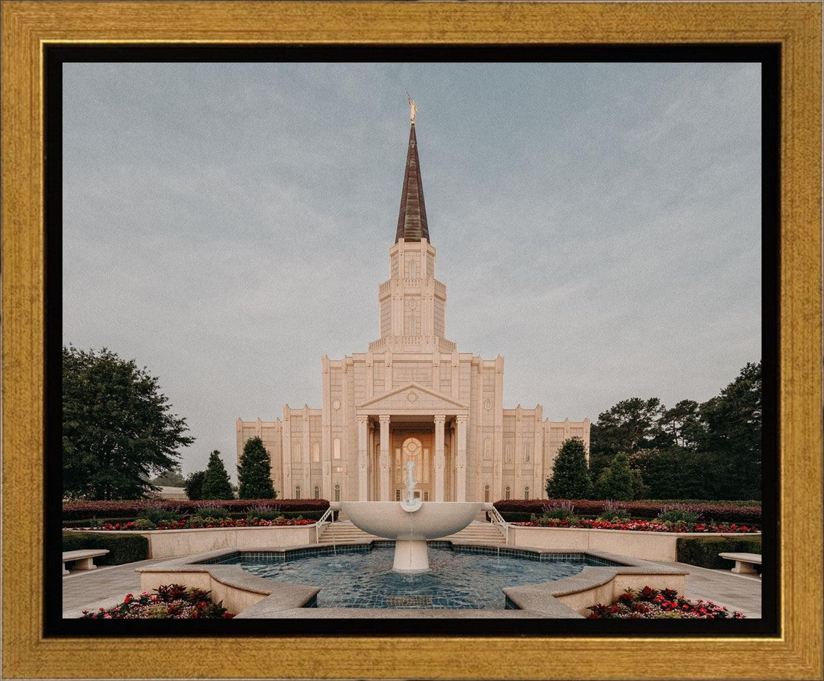 Houston A Firm Foundation