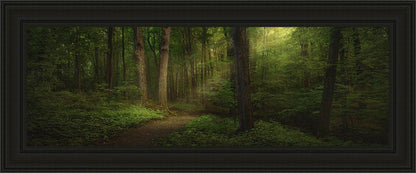 Sacred Grove Large Wall Art