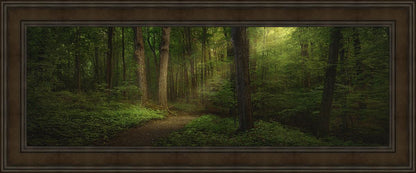 Sacred Grove Large Wall Art