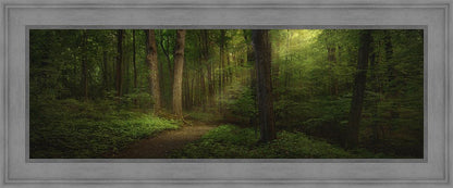 Sacred Grove Large Wall Art