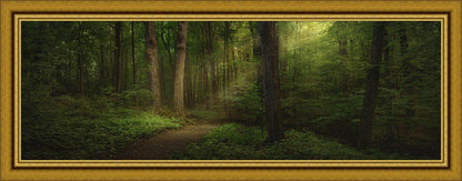 Sacred Grove Large Wall Art