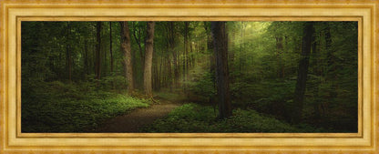 Sacred Grove Large Wall Art