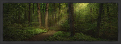 Sacred Grove Large Wall Art