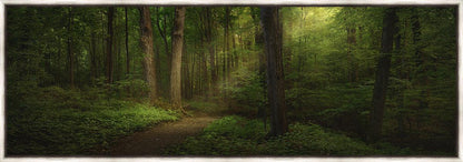Sacred Grove Large Wall Art