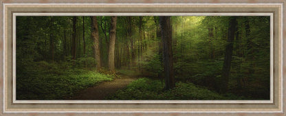 Sacred Grove Large Wall Art
