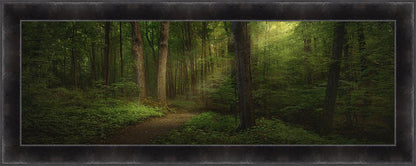 Sacred Grove Large Wall Art