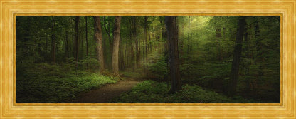 Sacred Grove Large Wall Art