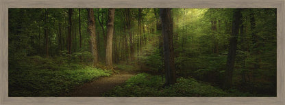 Sacred Grove Large Wall Art