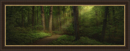Sacred Grove Large Wall Art