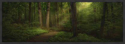 Sacred Grove Large Wall Art
