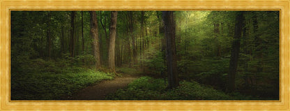 Sacred Grove Large Wall Art