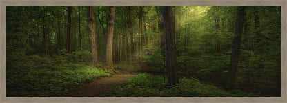 Sacred Grove Large Wall Art