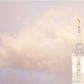 Pocatello Temple Skyline