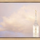 Pocatello Temple Skyline