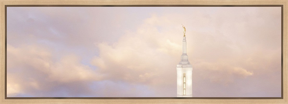 Pocatello Temple Skyline