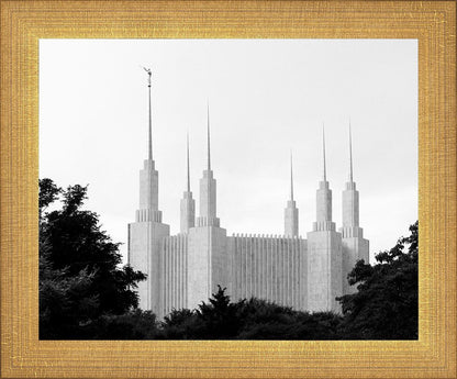 A Place of Peace Washington DC