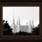 A Place of Peace Washington DC