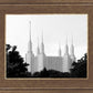 A Place of Peace Washington DC