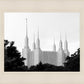 A Place of Peace Washington DC