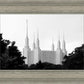 A Place of Peace Washington DC