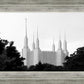 A Place of Peace Washington DC