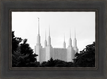 A Place of Peace Washington DC