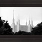 A Place of Peace Washington DC