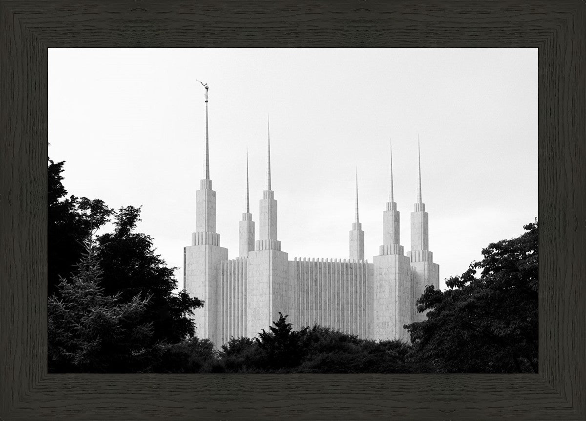 A Place of Peace Washington DC