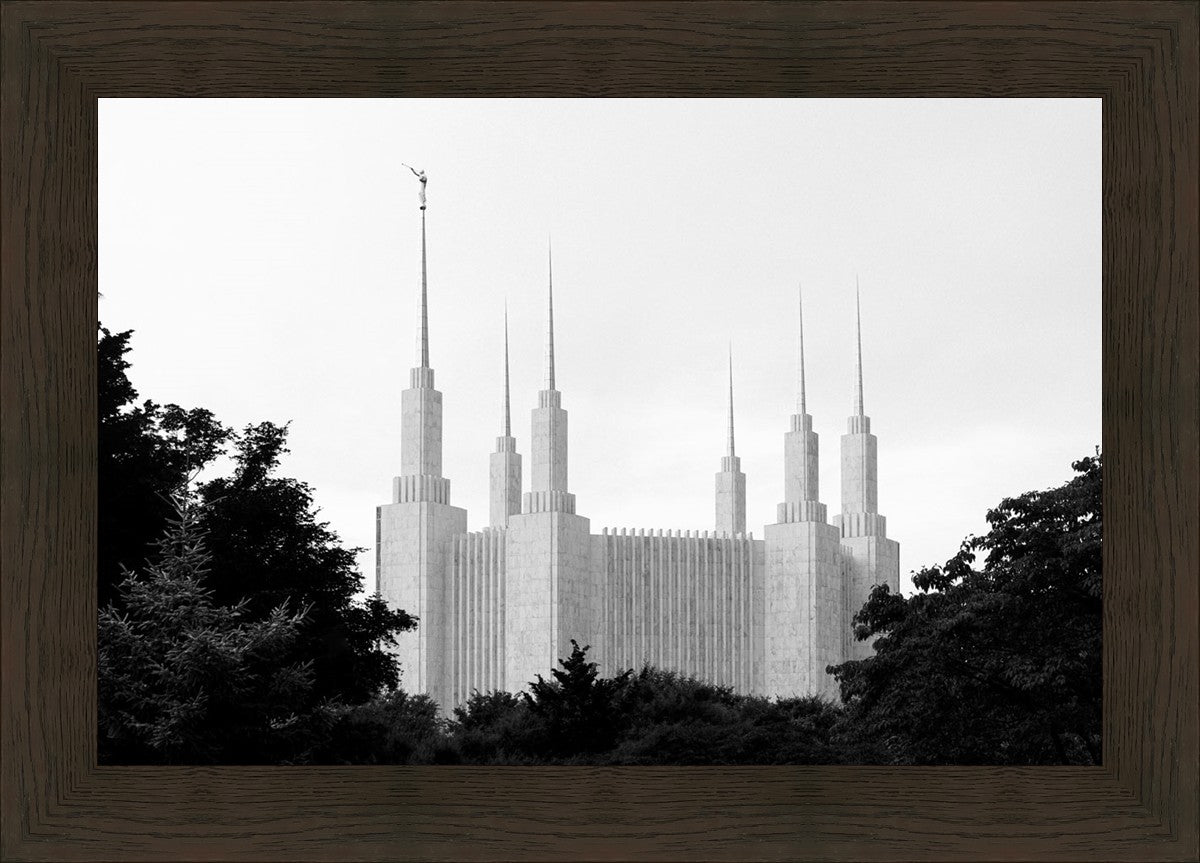 A Place of Peace Washington DC