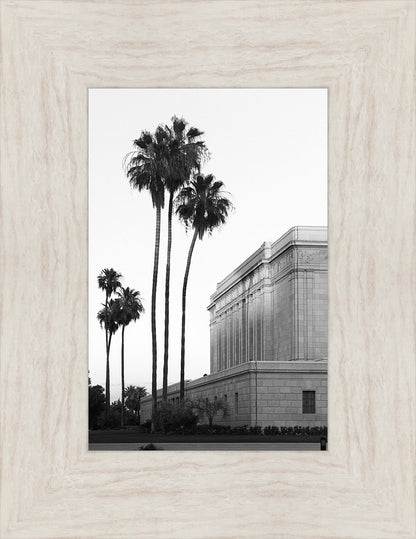 A Place of Peace Mesa