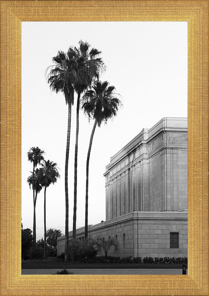 A Place of Peace Mesa