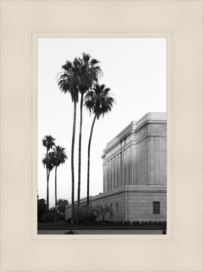 A Place of Peace Mesa