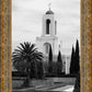 A Place of Peace Newport Beach