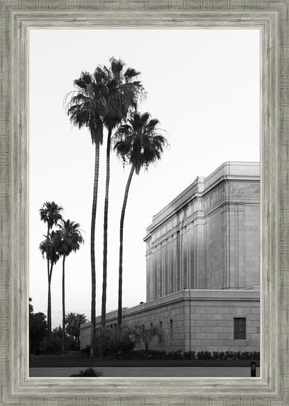 A Place of Peace Mesa