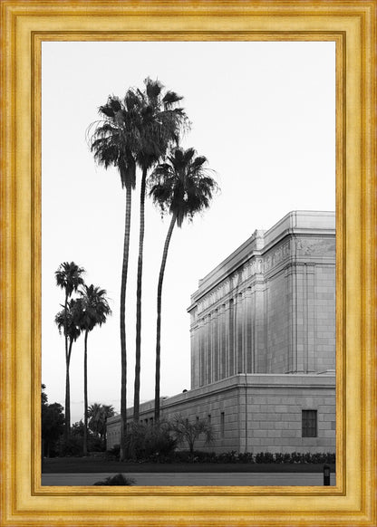 A Place of Peace Mesa