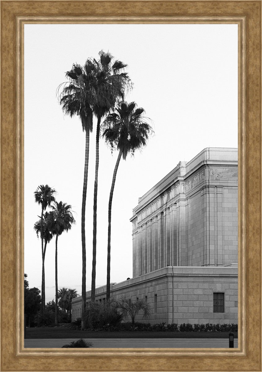 A Place of Peace Mesa