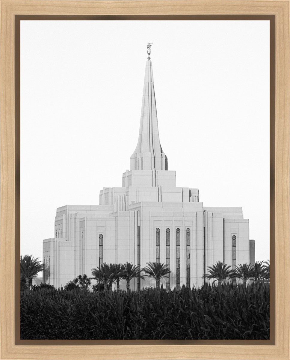 A Place of Peace Gilbert